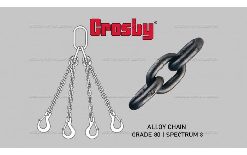 SPECTRUM 8 / GRADE 80 ALLOY CHAIN